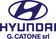 Logo Hyundai Catone